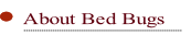 About Bed Bugs.